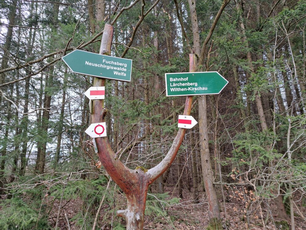 Wanderwegweiser im Wald