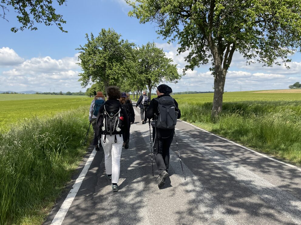 Eine Gruppe wandernder Menschen läuft auf einer schmalen Straße