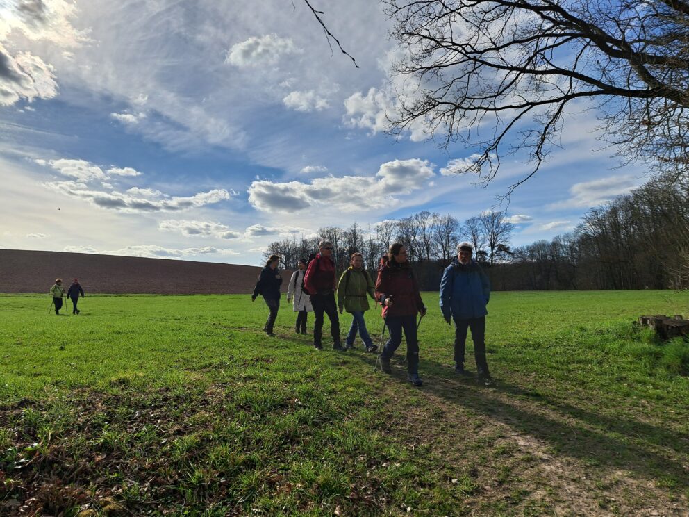 eine Gruppe wandernder Menschen ist in der Natur unterwegs